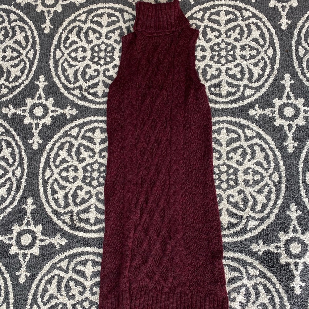American Eagle Turtle Neck Sweater Dress
